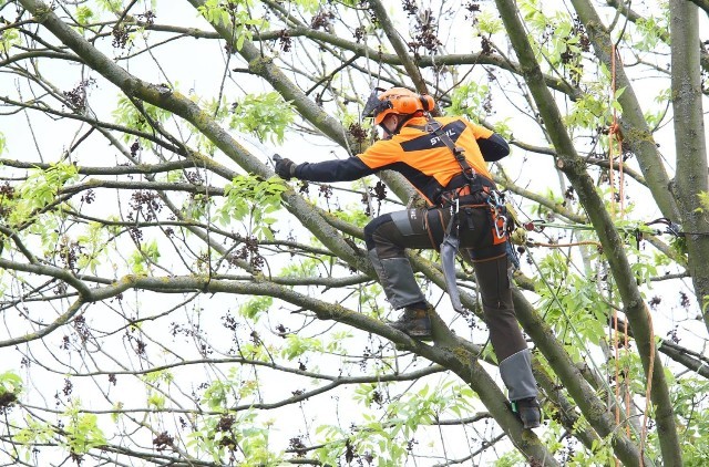 Fliisjakk DYNAMIC, STIHL - Pilt 3