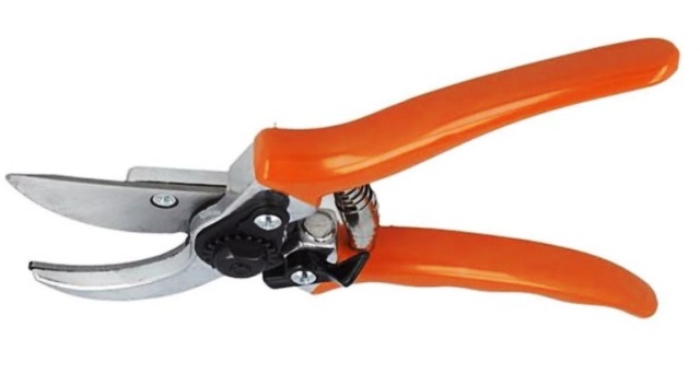 Aia- ja oksakäärid PG 10, STIHL - Pilt 2