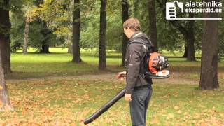 Lehepuhur PB-265ESLT/ EU, ECHO - Pilt 3