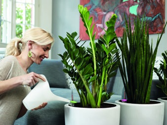 Lillemulla niisutaja AQUAFLORA MAXI, 35-50 cm,1,4 L - Pilt 4