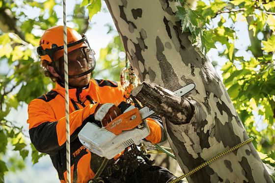 Akukettsaag MSA 161 T PRO, STIHL - Pilt 4